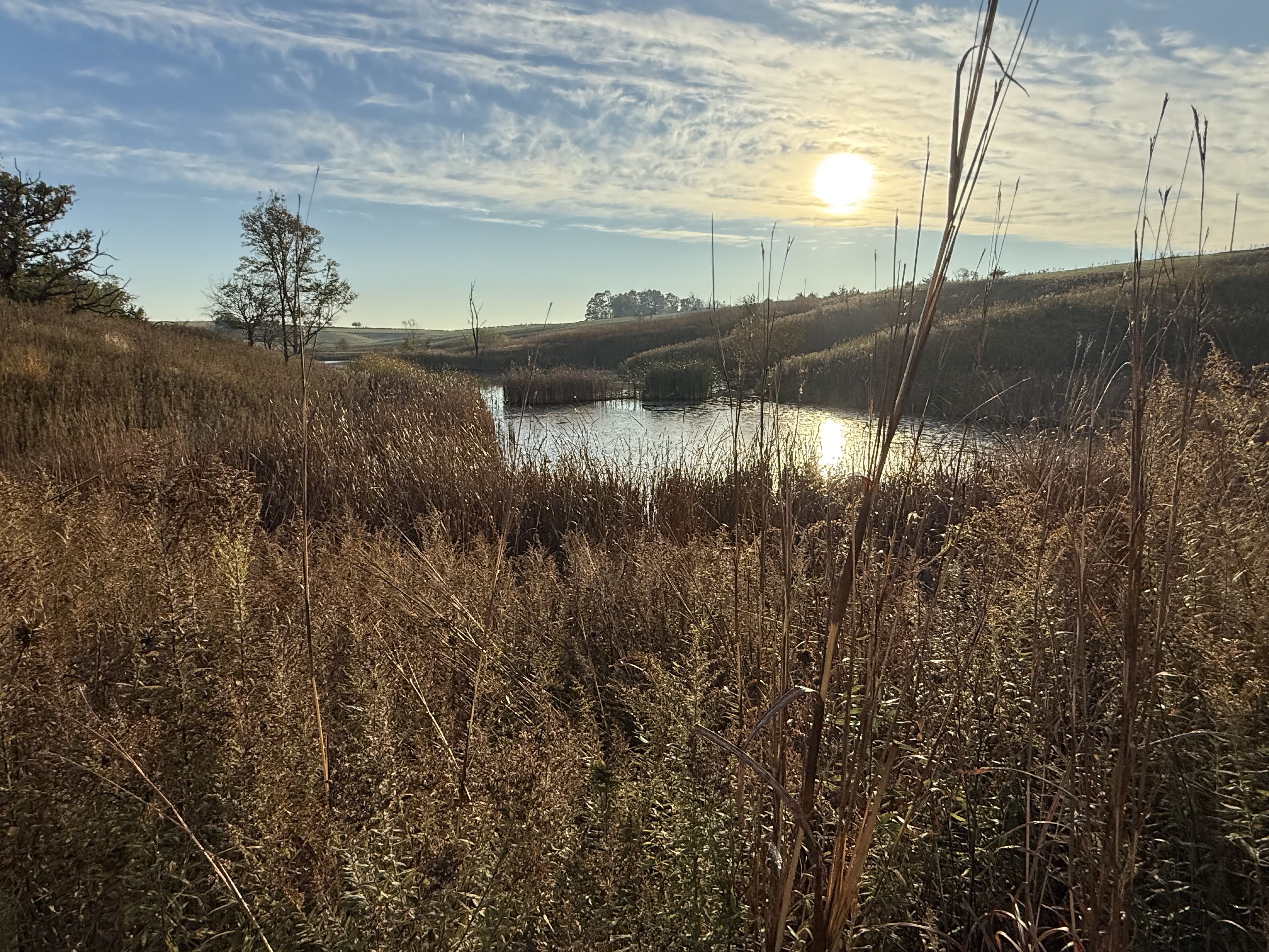 Listing Photo: Photo Oct 30 2025, 8 43 45 AM